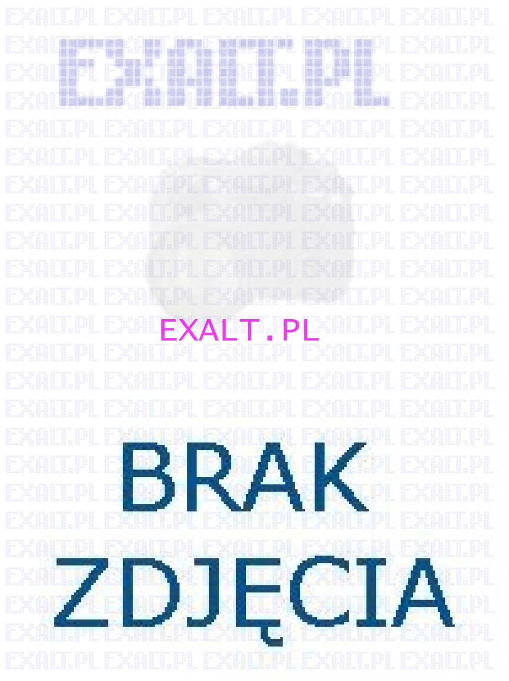 Protok druku etykiety - nagwek, data, godzina, masa netto (ELTRON)