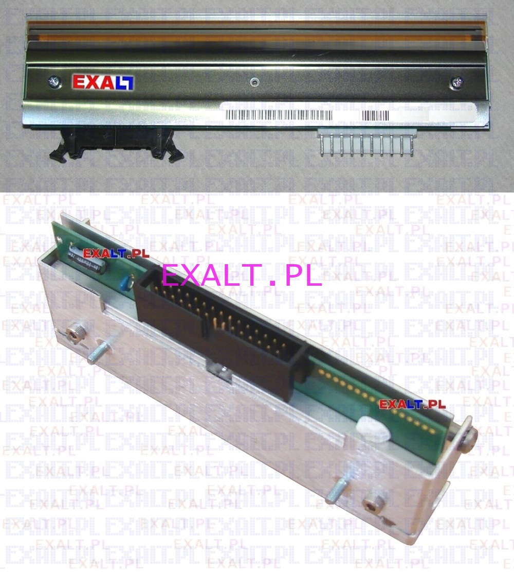 gowica drukujca do drukarek XA/XB/TA/TB Mech. firmy AXIOHM, rozdzielczo 200 dpi