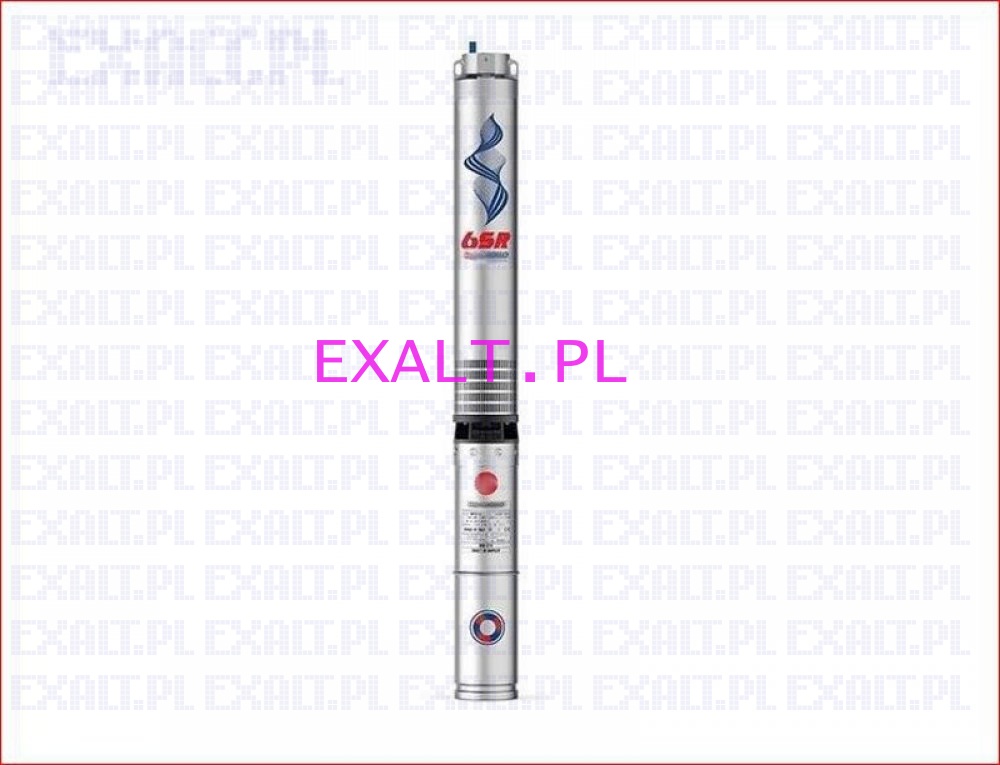 Pompa gbinowa 6SR 27-27 Pedrollo z silnikiem wodnym 6PS